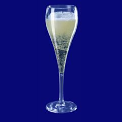Prosecco-Champagner Glas 0,1l SAN glasklar